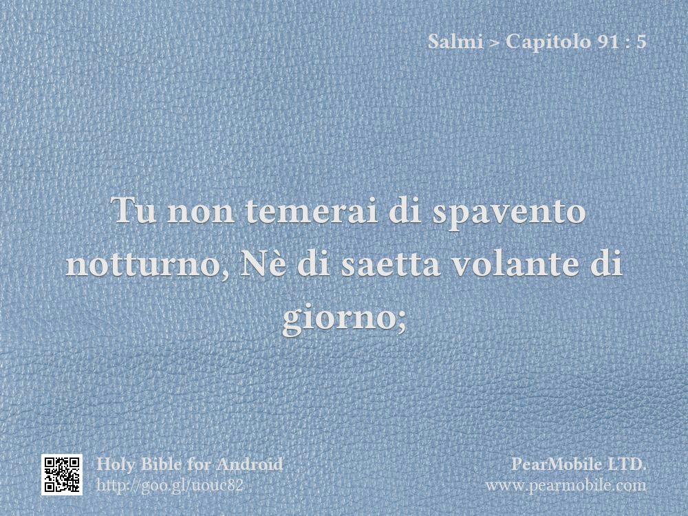 Salmi, Capitolo 91:5